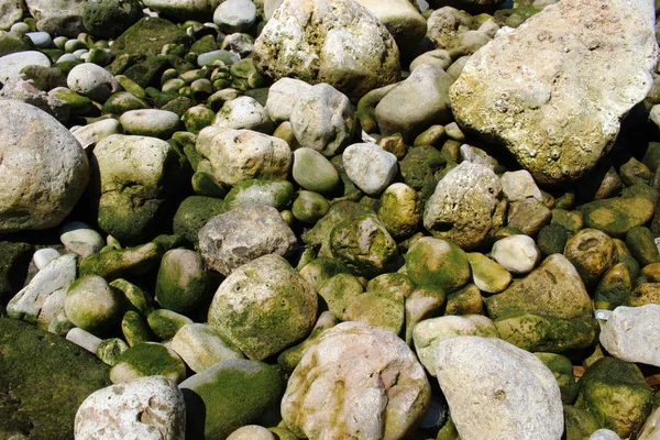 Green sea water stones and rocks resting on seashore — Stock Photo, Image