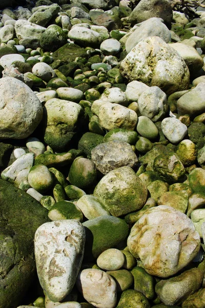 Зеленые морские камни и скалы, покоящиеся на берегу моря — стоковое фото