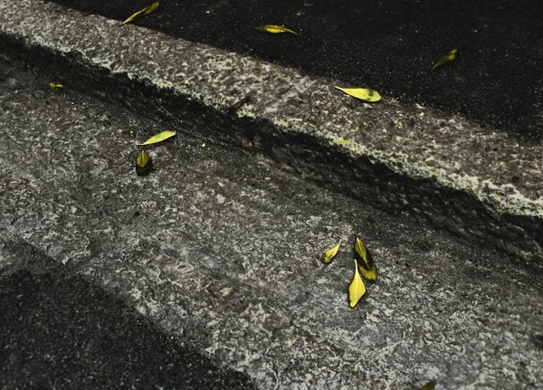 Gele herfst bladeren op grijze betonnen trottoir stoep — Stockfoto