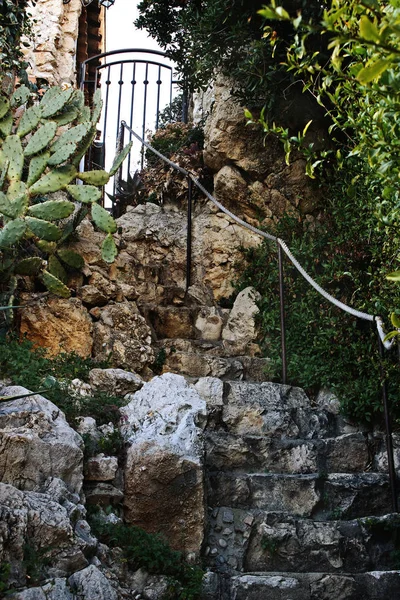 Sulu ağaçlarla çevrili bir giriş kapısına giden taş merdivenler