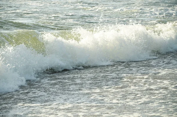 Bir deniz kıyısında büyük köpüklü deniz dalgaları hareketi