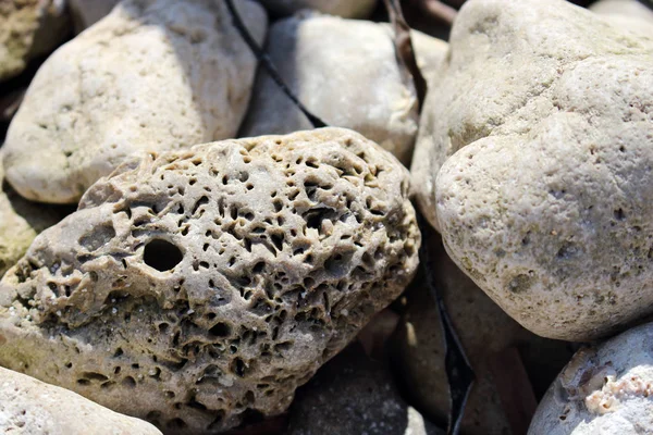 Dos piedras texturizadas tocándose en un beso a la luz del sol en una playa de piedra — Foto de Stock