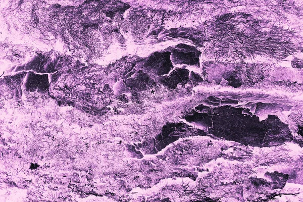 Abstrato grunge árvore casca texturizado violeta roxo sepia filtro fundo — Fotografia de Stock