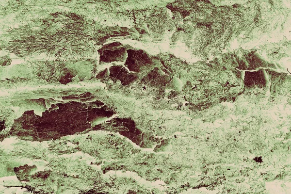 Astratto grunge albero corteccia testurizzato sfondo filtro seppia verde — Foto Stock