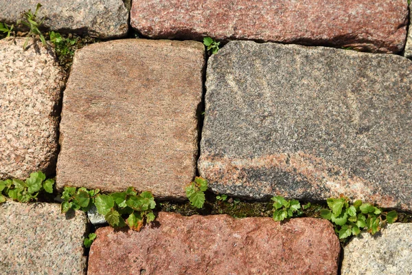 Pavimento Tijolos Pedra Vermelha Cinza Com Grama Verde Minúscula Entre — Fotografia de Stock