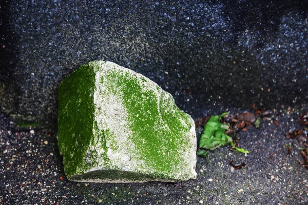 Pedaço Tijolo Branco Quebrado Coberto Com Fina Camada Musgo Verde — Fotografia de Stock