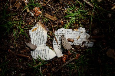Torn and burnt dictionary pages lying on dark black forest dirt background top view clipart