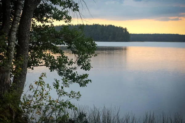 Вид Озеро Чистую Воду Закатное Небо Обрамлением Деревьев — стоковое фото