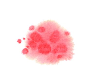 Kart, poster, baskı için suluboya arka plan. Beyaz üzerine izole sıçramaları ile soyut kırmızı nokta.