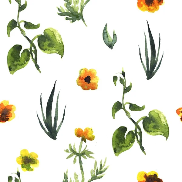Sorunsuz Bitki Deseni Çiçek Dekoratif Illüstrasyon Suluboya Çiçek Sorunsuz Arka — Stok fotoğraf