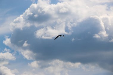 Beyaz bulutlar mavi gökyüzü, bir yaz günü güneşli havalarda