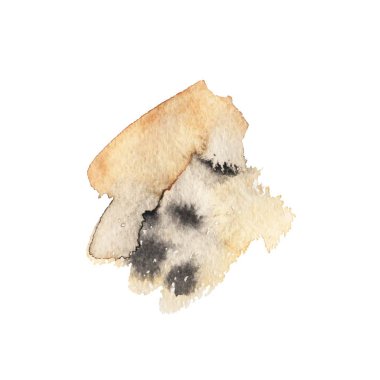 Vektör fırça darbesi. Grunge tükenmez kalem. Sıkıntılı quill. Kalem kontur siyah Modern dokulu. Mürekkep ile keskin bir geçiş yumuşatma tarafından çizilmiş bir helezon bukleler