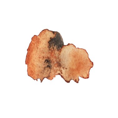 Vektör fırça darbesi. Grunge tükenmez kalem. Sıkıntılı quill. Kalem kontur siyah Modern dokulu. Mürekkep ile keskin bir geçiş yumuşatma tarafından çizilmiş bir helezon bukleler