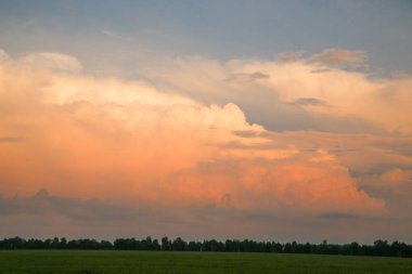 Yeşil çim ve gökyüzü gün batımından önce ormanı bir şerit alanıyla. Beyaz bulutların pembe tonlarında ile akşam gökyüzü.