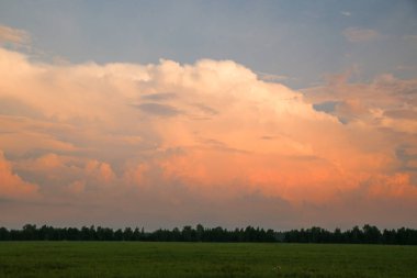 Yeşil çim ve gökyüzü gün batımından önce ormanı bir şerit alanıyla. Beyaz bulutların pembe tonlarında ile akşam gökyüzü.