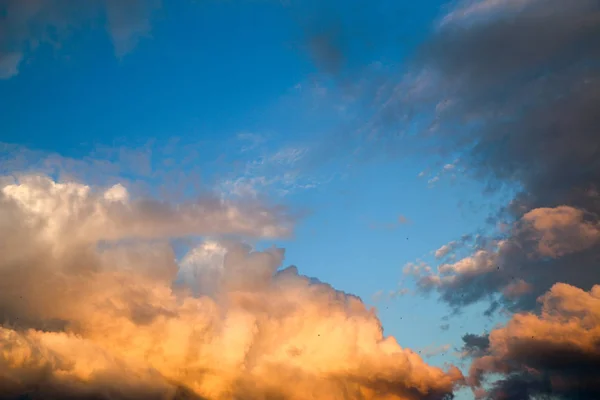 Abstracte Natuur Achtergrond Dramatisch Humeurig Roze Paars Blauw Bewolkte Zonsondergang — Stockfoto