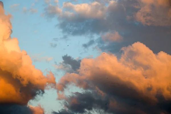 Abstracte Natuur Achtergrond Dramatisch Humeurig Roze Paars Blauw Bewolkte Zonsondergang — Stockfoto
