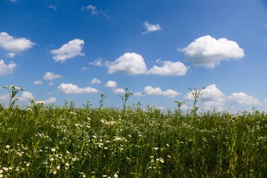 Beyaz bulutlar mavi gökyüzü, bir yaz günü güneşli havalarda
