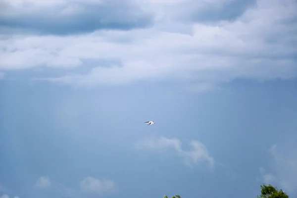 风暴云对深蓝色的天空 一个夏天前的风暴 飞海鸥 — 图库照片