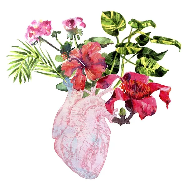 Coração humano com flores, planta e folha, aquarela — Fotografia de Stock