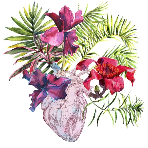 Coeur humain avec fleurs, plantes et feuilles, aquarelle — Photo