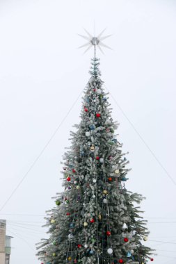 Süslenen Noel ağacı şehir park Noel süsleri parlak kıvılcım, bulanık, kar ile hoarfrost ile kaplı. Happy New Year ve Xmas Tema