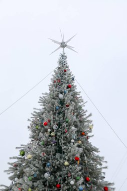 Süslenen Noel ağacı şehir park Noel süsleri parlak kıvılcım, bulanık, kar ile hoarfrost ile kaplı. Happy New Year ve Xmas Tema