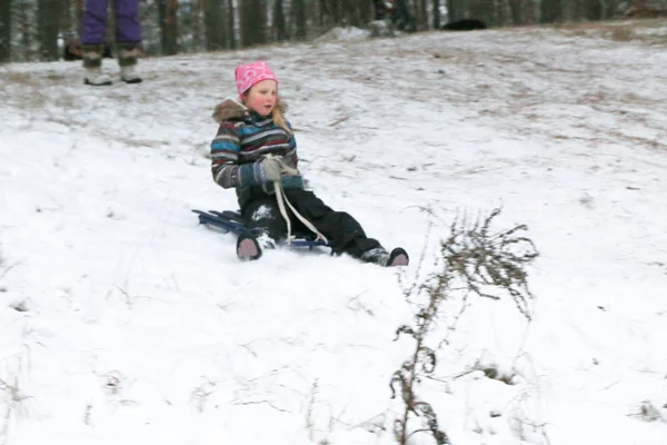 Kleines Mädchen Rollt Schlitten Schnee Den Hügel Hinunter Winter Kiefernwald — Stockfoto