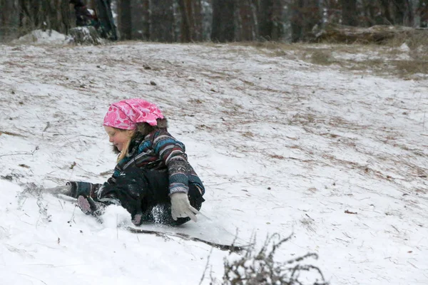 Den Lille Jenta Ruller Ned Bakken Slede Snøen Furuskogen Vinteren – stockfoto