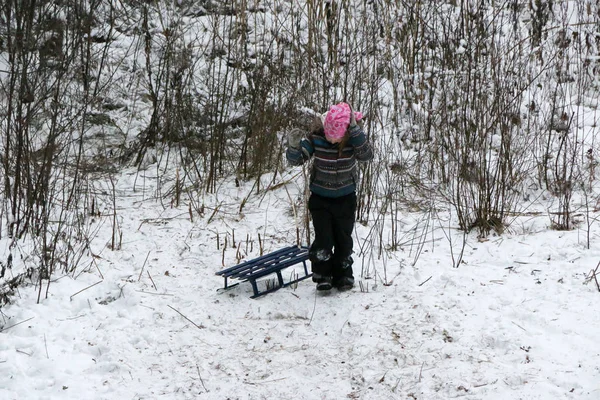 Kleines Mädchen Erklimmt Einen Berg Mit Schlitten Durch Den Schnee — Stockfoto