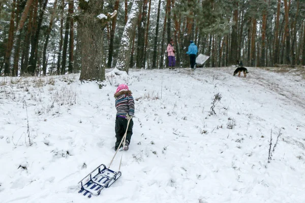 Kleines Mädchen Erklimmt Einen Berg Mit Schlitten Durch Den Schnee — Stockfoto
