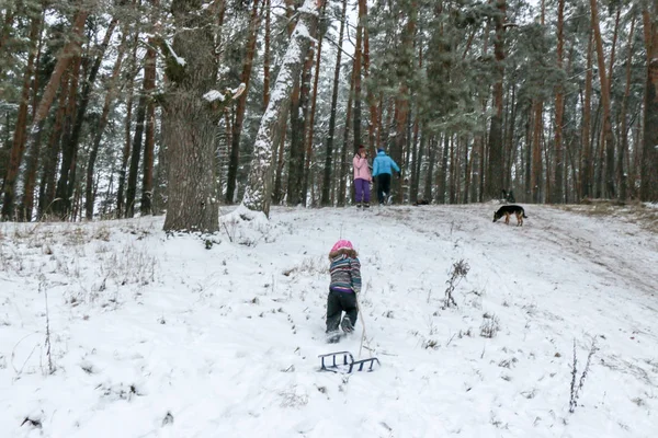 Kleines Mädchen Erklimmt Einen Berg Mit Schlitten Durch Den Schnee — Stockfoto