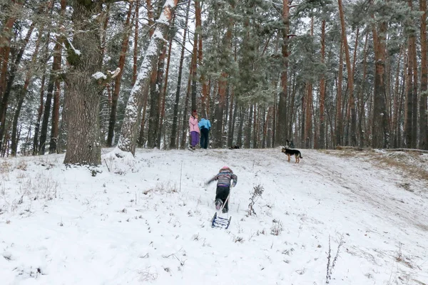 Kleines Mädchen Erklimmt Einen Berg Mit Schlitten Durch Den Schnee — Stockfoto
