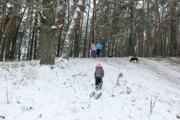 Kleines Mädchen Erklimmt Einen Berg Mit Schlitten Durch Den Schnee — Stockfoto