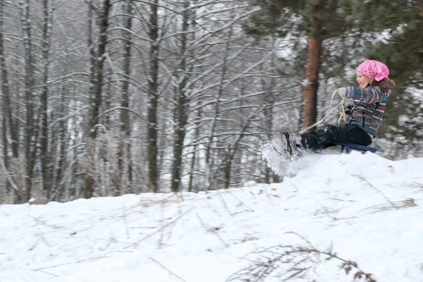 Menina Rola Para Baixo Colina Trenó Neve Floresta Pinheiros Inverno — Fotografia de Stock