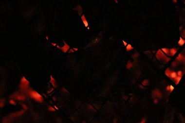 Bir ızgarada Somon ızgara biftek. Yangın alev ızgara. Restoran ve Bahçe mutfak. Bahçe partisi. Sağlıklı yemek.