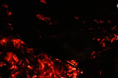 Bir ızgarada Somon ızgara biftek. Yangın alev ızgara. Restoran ve Bahçe mutfak. Bahçe partisi. Sağlıklı yemek.