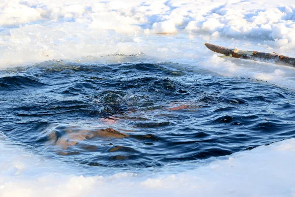 Ein junger Mann bereitet sich darauf vor, in das Eisloch zu tauchen. Winter, Kälte, offenes Wasser. — Stockfoto