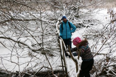 Sakallı genç yakışıklı bir adam portresi. Sakallı bir adam bir kişi close-up. Sakallı tam yüz.