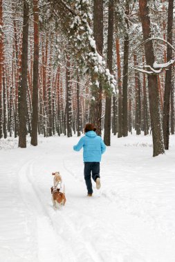 Bir köpek kış çam ormanı içinde kırmızı sakallı neşeli yakışıklı bir genç adam portresi. Bir kış günü kar çam şubesinden patlatmış. Uzun boylu bir çamları. dikey odaklı
