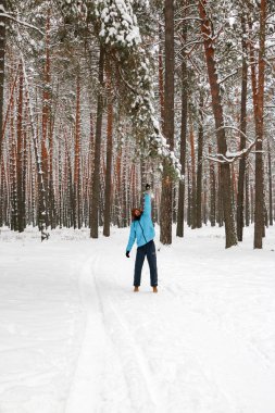 Kış çam ormanı içinde kırmızı sakallı neşeli yakışıklı bir genç adam portresi. Bir kış günü kar çam şubesinden patlatmış. Uzun boylu bir çamları. dikey odaklı