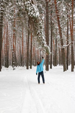 Kış çam ormanı içinde kırmızı sakallı neşeli yakışıklı bir genç adam portresi. Bir kış günü kar çam şubesinden patlatmış. Uzun boylu bir çamları. dikey odaklı