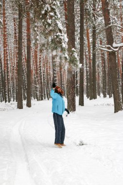 Kış çam ormanı içinde kırmızı sakallı neşeli yakışıklı bir genç adam portresi. Bir kış günü kar çam şubesinden patlatmış. Uzun boylu bir çamları. dikey odaklı