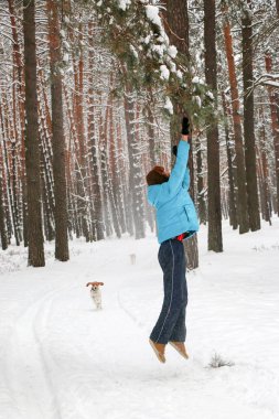 Bir köpek kış çam ormanı içinde kırmızı sakallı neşeli yakışıklı bir genç adam portresi. Bir kış günü kar çam şubesinden patlatmış. Uzun boylu bir çamları. dikey odaklı
