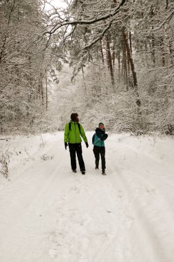 Güzel mutlu çift kar topu atıyor ve kış parkında eğleniyor. İnsanlar kışın ormanda yürürler. Bir sürü kar, muhteşem doğa. Erkek ve kız. Genç çift, doğada yürür. Dostlar güzel çam ormanının tadını çıkarın..