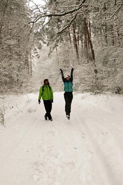 Beautiful happy couple throwing snowballs and having fun in winter park. People walk in the woods in winter. Lots of snow, fabulous nature. Boy and girl Young couple Lovers walk in nature. Friends enjoy the beautiful pine forest.