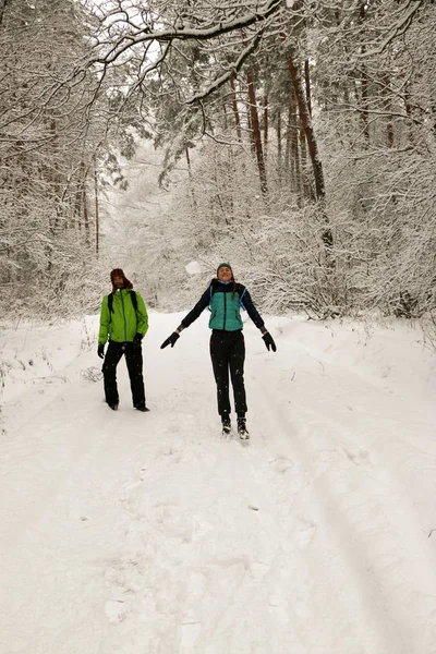 Beautiful happy couple throwing snowballs and having fun in winter park. People walk in the woods in winter. Lots of snow, fabulous nature. Boy and girl Young couple Lovers walk in nature. Friends enjoy the beautiful pine forest.