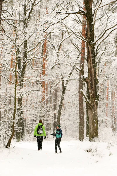 Winter Gehen Die Menschen Wald Spazieren Viel Schnee Herrliche Natur — Stockfoto