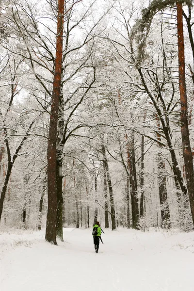 Winter Gehen Die Menschen Wald Spazieren Viel Schnee Herrliche Natur — Stockfoto