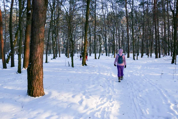 Winterlandschaft Mit Nadelwald Sonnenuntergang — Stockfoto